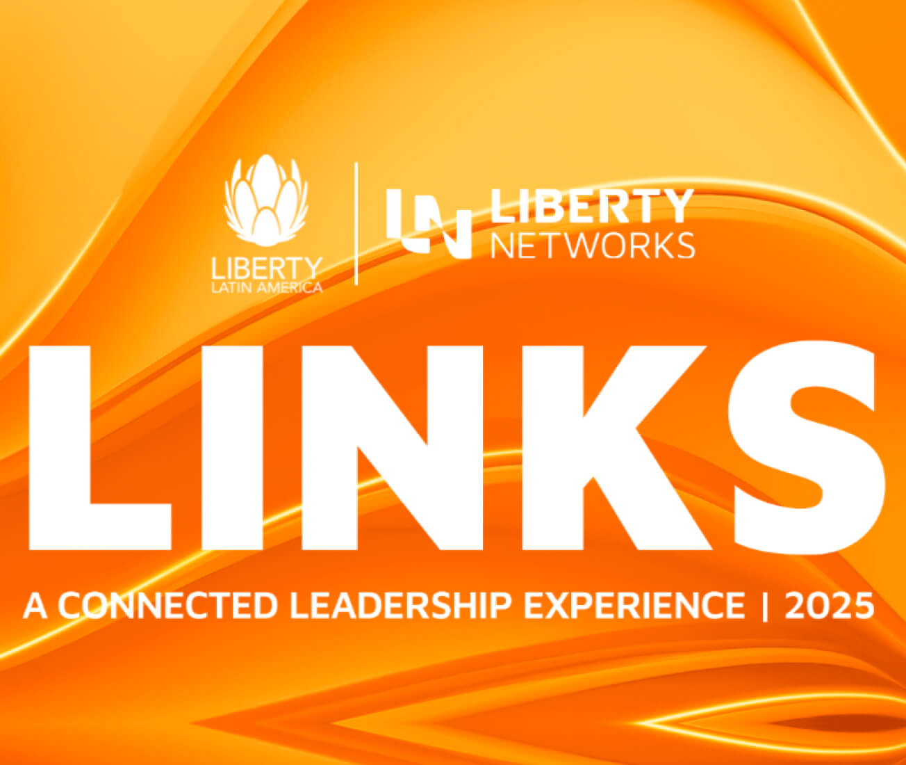 LINKS 2025