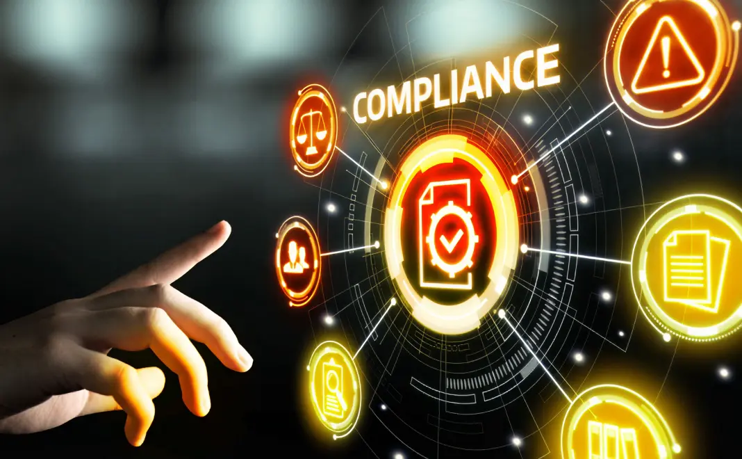 The role the network plays in online government initiatives